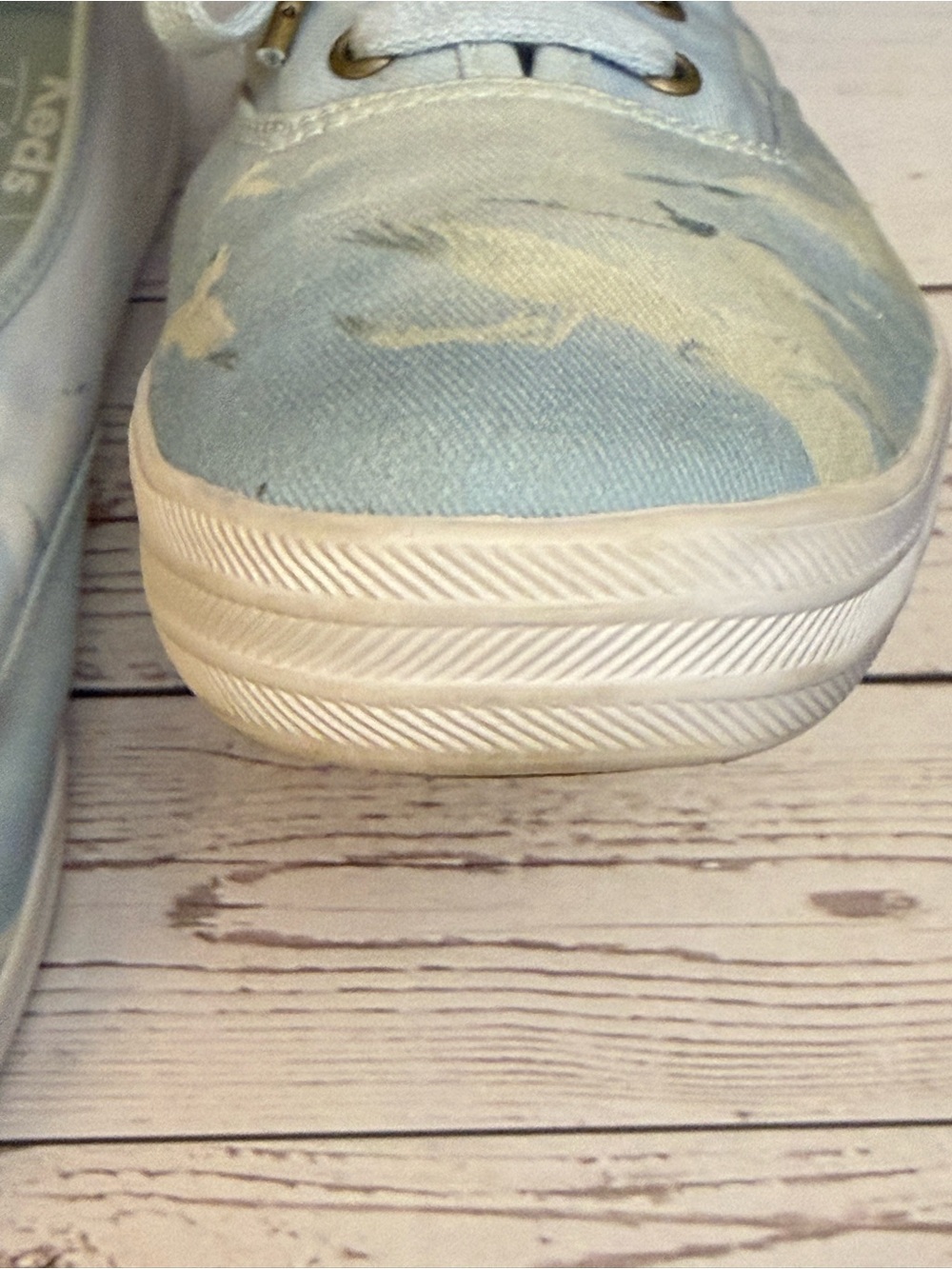 Keds Taylor Swift 1989 Tour seagull print canvas shoe limited edition 2015 EUC - Picture 12 of 16